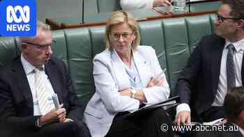 Live: Liberal frontbencher says PM should be 'stoned in the square' over ATO credit card ban