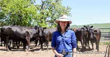 Managing farm debt: timely capital helped young farmer survive disaster triple threat
