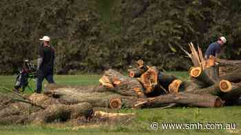 Judge orders Trump administration to answer for tree removals at Washington golf course