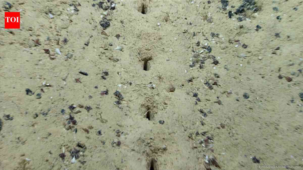 Mysterious holes on the Pacific seafloor remain unexplained after sediment tests