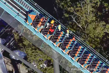 1 dead, others hurt at Six Flags Over Georgia as man fell from coaster, guests say