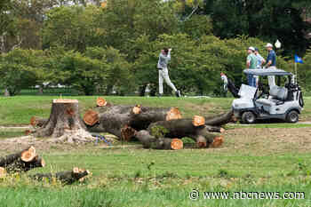Judge tears into Trump administration for felling trees on D.C. golf course the president wants to remake