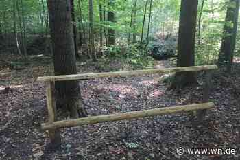 Bonibuger Wald: Sanierung wird sich wohl hinziehen