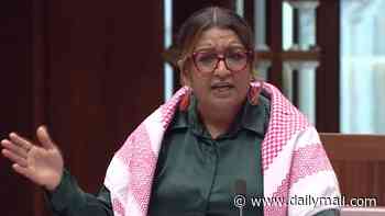 Liberal senator's scathing dig at Mehreen Faruqi as Green takes extraordinary step of Albo for 'taking selfies' wth Trump because he is 'participant in genocide'
