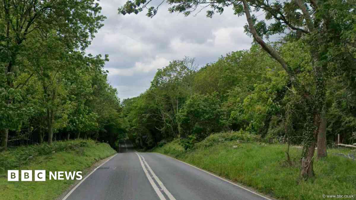 Driver, 18, dies in late-night car crash