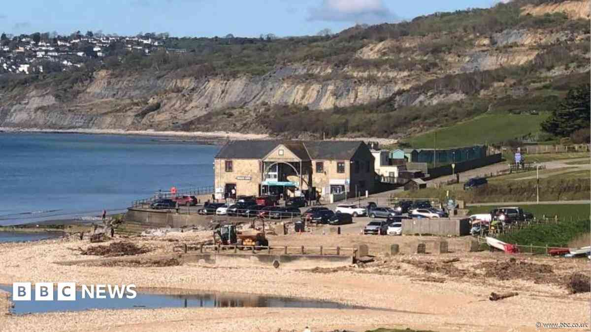 Jurassic Coast fossil records made available online