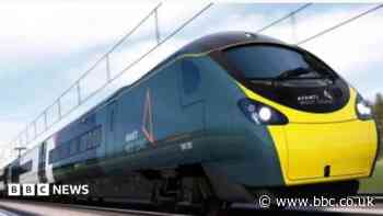 Trains halted after person found dead on tracks