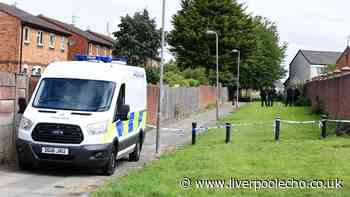 Gun thug turned Everton couple's quiet evening in front of the TV into night of terror