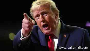 Trump denies Iran is getting military help from Russia and China, despite worries from 'morons and lunatics'