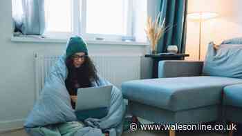 Make one crucial check on your central heating now before freezing temperatures arrive