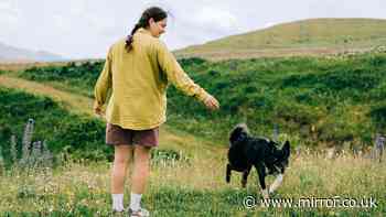 Dog walkers at UK beauty spot warned parasite can have 'devastating consequences'