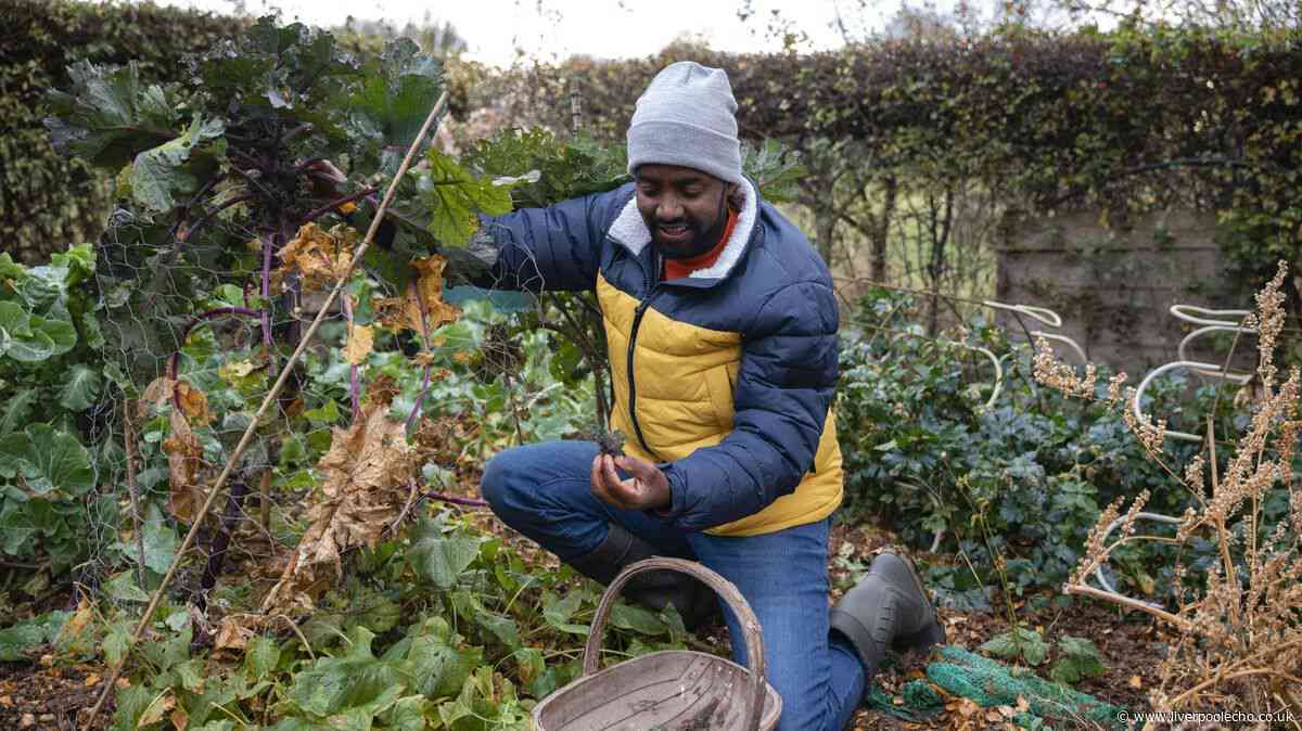 Five garden jobs need to be tackled this month, urges gardening expert