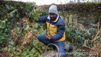 Five garden jobs need to be tackled this month, urges gardening expert