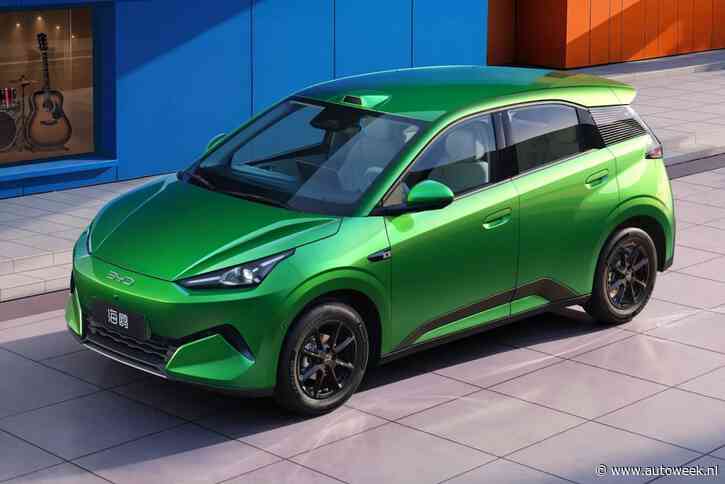 Nieuwe BYD Dolphin Surf is eigenlijk een grote zeemeeuw