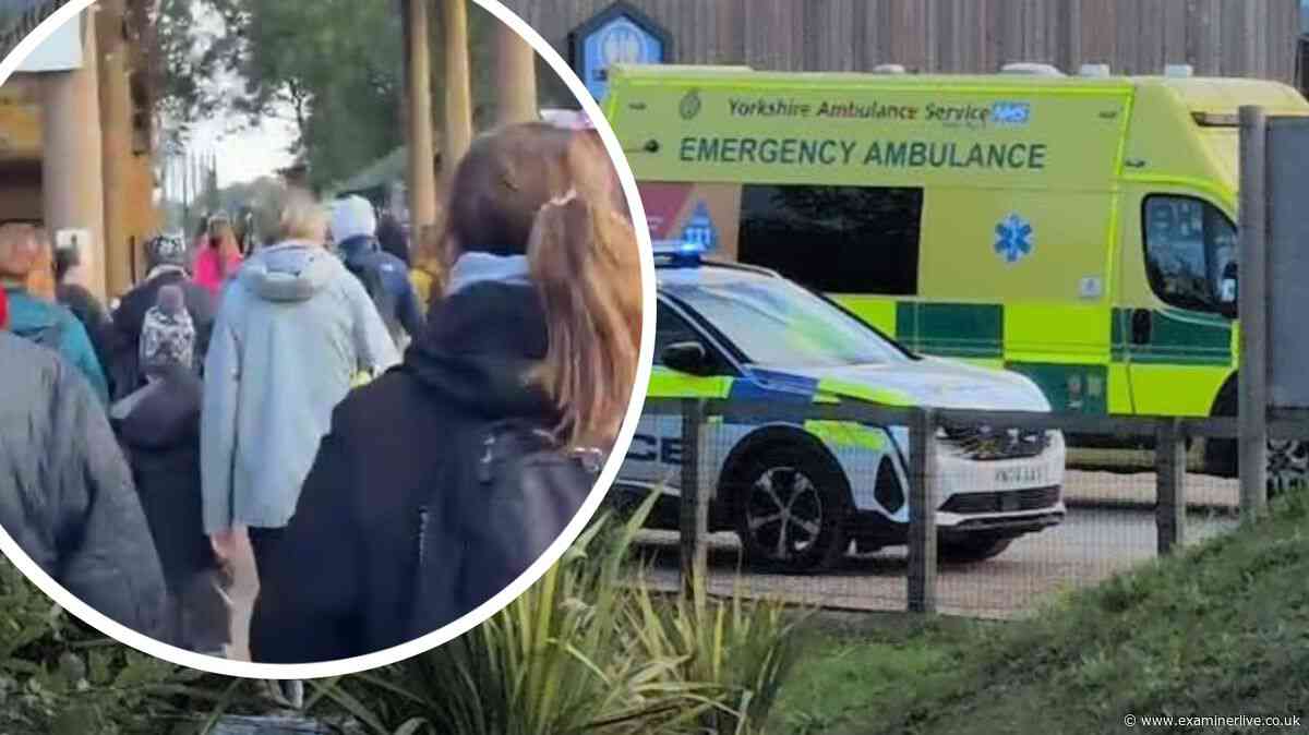 Helpless Yorkshire Wildlife Park crowds shouted two-word demand to man in tiger pen - but he didn't understand