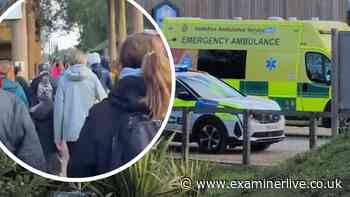 Helpless Yorkshire Wildlife Park crowds shouted two-word demand to man in tiger pen - but he didn't understand