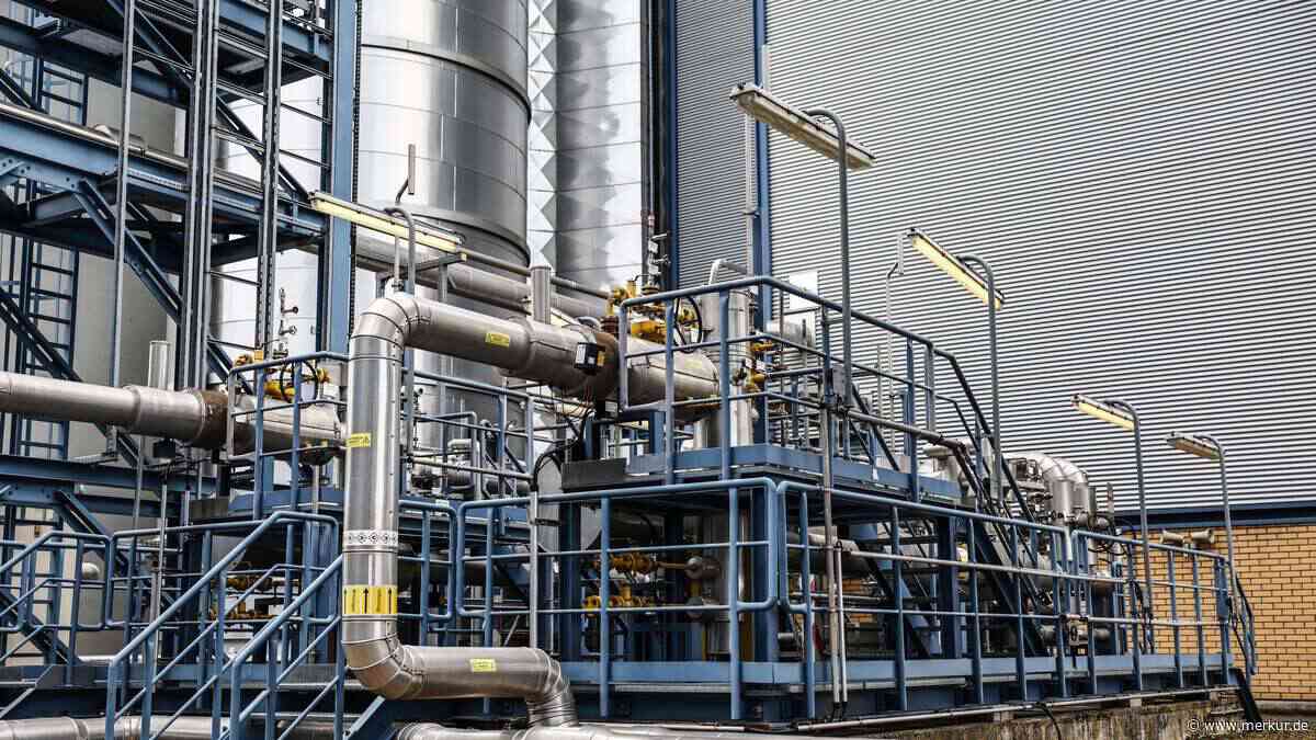 IEEFA warnt: EU könnte Gasverbrauch im Winter um sieben Prozent senken müssen