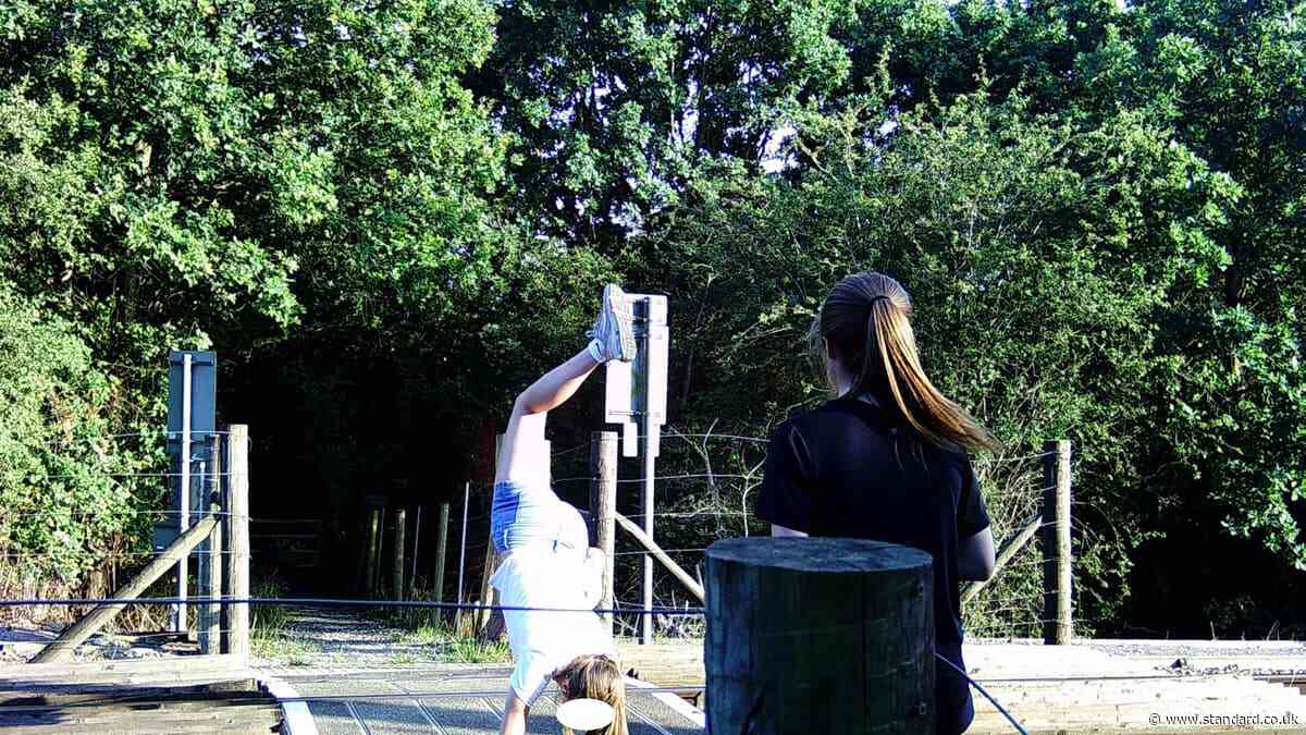 London railway crossing shut after children 'play chicken' with trains and do handstands on tracks