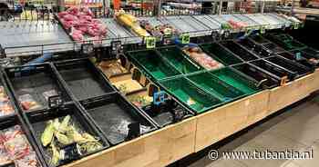 AH heeft nog steeds last van cyberincident: boodschappen vandaag niet bezorgd, website ligt nog plat