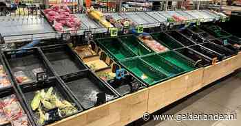 AH heeft nog steeds last van cyberincident: boodschappen vandaag niet bezorgd, website ligt nog plat