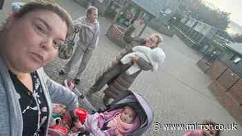 Family trapped in zoo after it closed with them inside use Facebook to get help