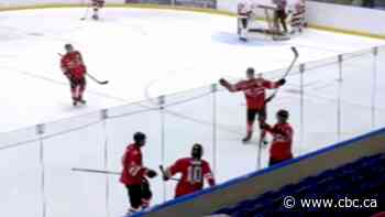 Hockey brothers score a hat trick each in the same game | The Moment