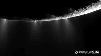 Fremdes Leben auf Saturnmond? Deutscher Forscher lüften Geheimnis unter Eispanzer