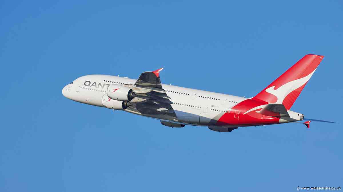 Qantas pulls aircraft for deep clean after passengers report bed bugs on 16-hour flight
