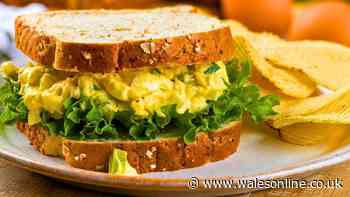 Stop making egg sandwiches with mayonnaise as they taste better with 1 simple item