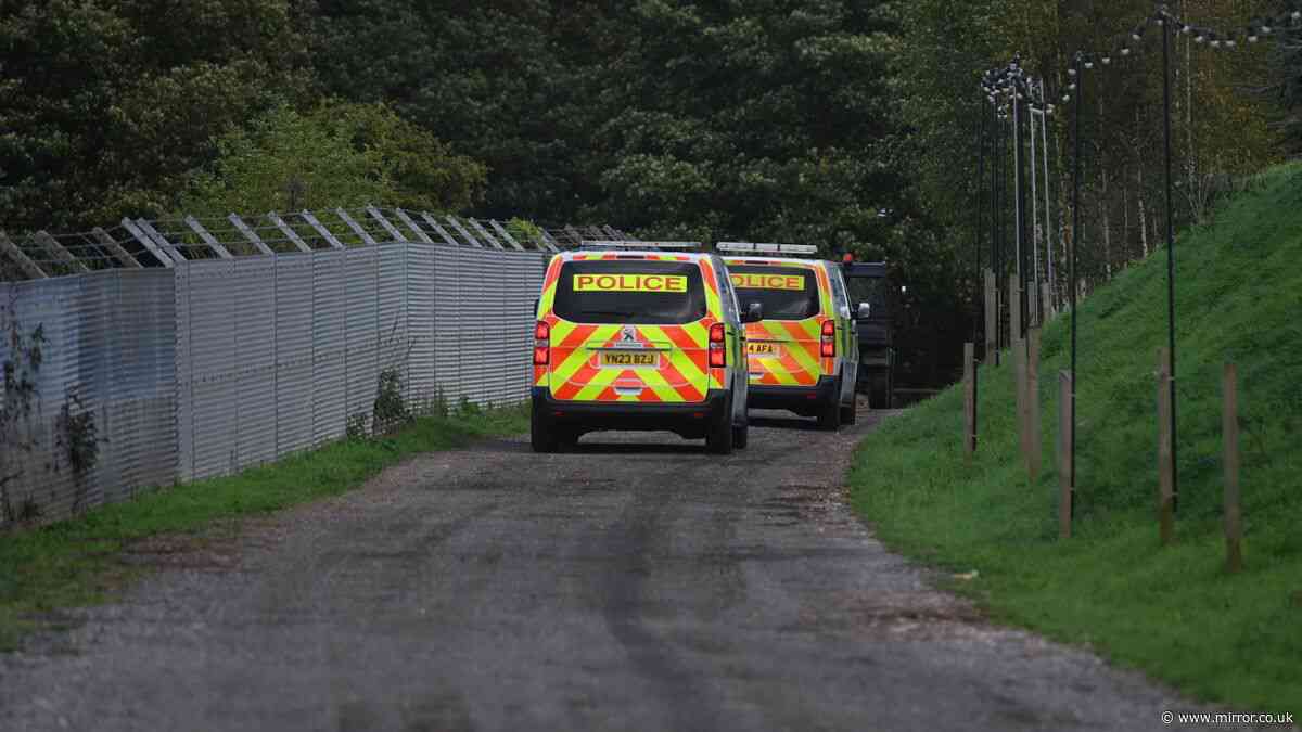 Yorkshire tiger attack - latest: Victim of wildlife park horror 'so happy' before mauling