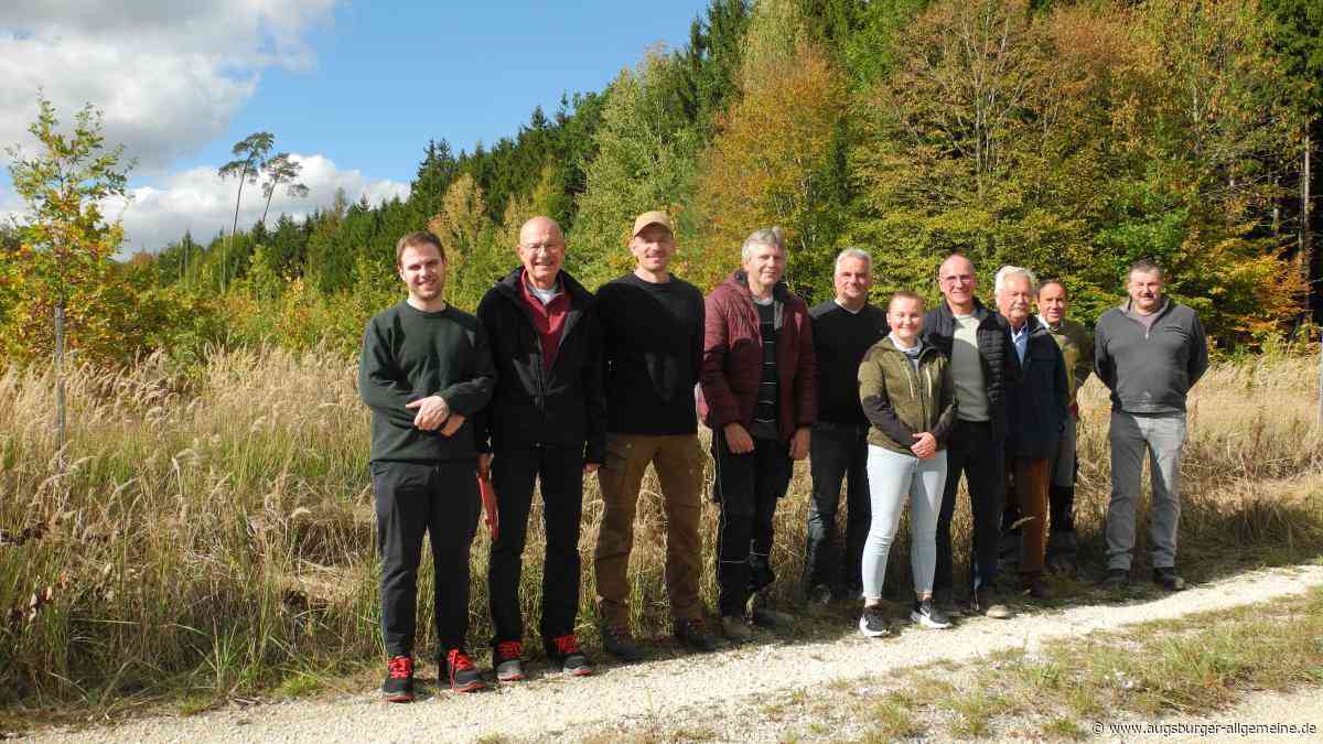 Nach dem Kieselerde-Abbau wächst im Rieder Wald ein neuer Laubwald
