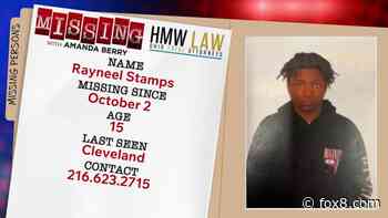 Missing: Rayneel Stamps