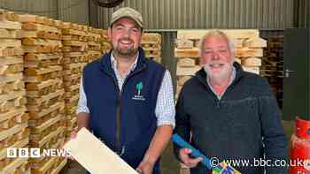 India bowled over by cricket bats made in Suffolk