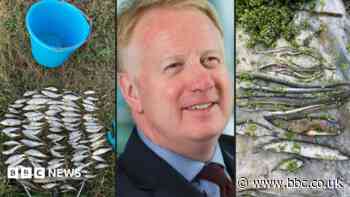 The sewage spill that cost a water company boss £1m