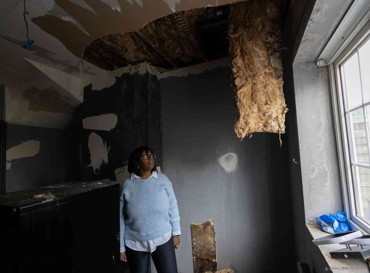 London mother 'suffers concussion, spinal spasms and whiplash' after ceiling in council house collapses
