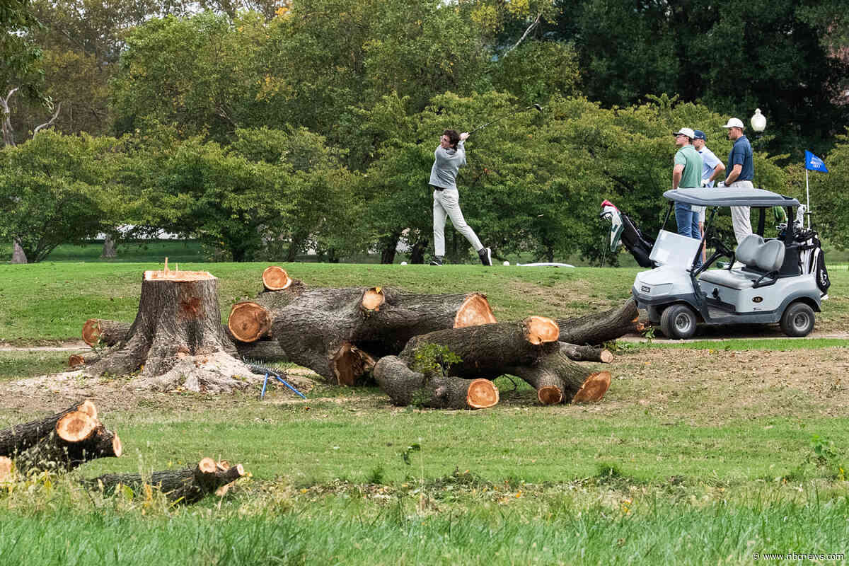 Judge tears into Trump administration for felling trees on D.C. golf course the president wants to remake