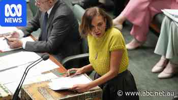 Anne Aly accuses Liberal MP of racism after 'stoning' comment