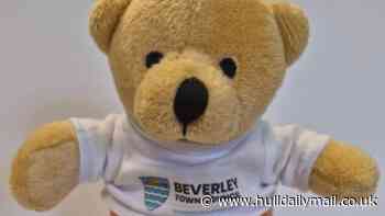 Teddy bear treasure hunt at the heart of Beverley's Winnie the Pooh centenary celebrations
