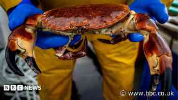 Sea harvest service celebrates fishing industry