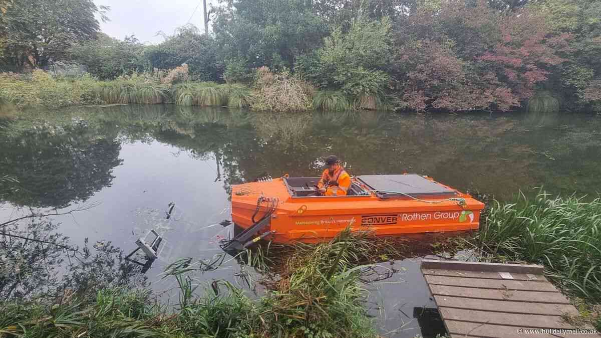 Battle lines drawn at Beverley Beck to free it from ‘water-soldier’