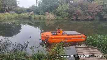 Battle lines drawn at Beverley Beck to free it from ‘water-soldier’