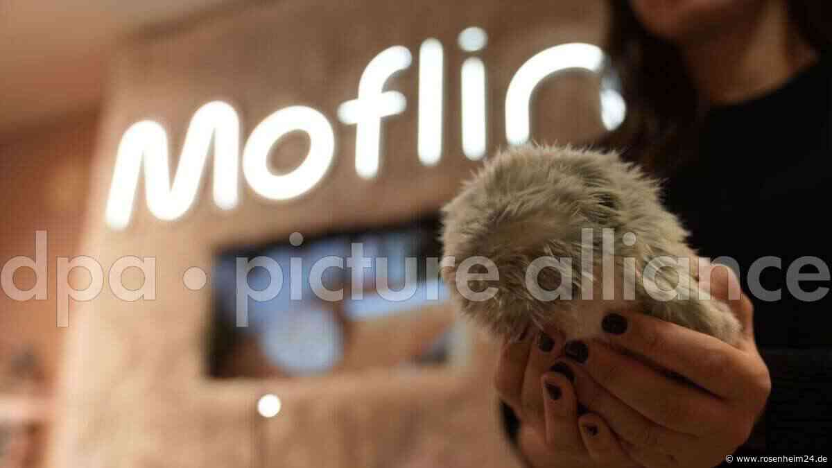 KI zum Kuscheln: Dieser „Moflin“ soll Gefühle wecken – ist dieses Plüschtier gefährlich?