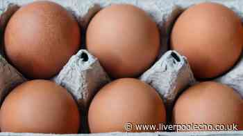 'Do not eat' warning for eggs with certain code — 'bin them now'