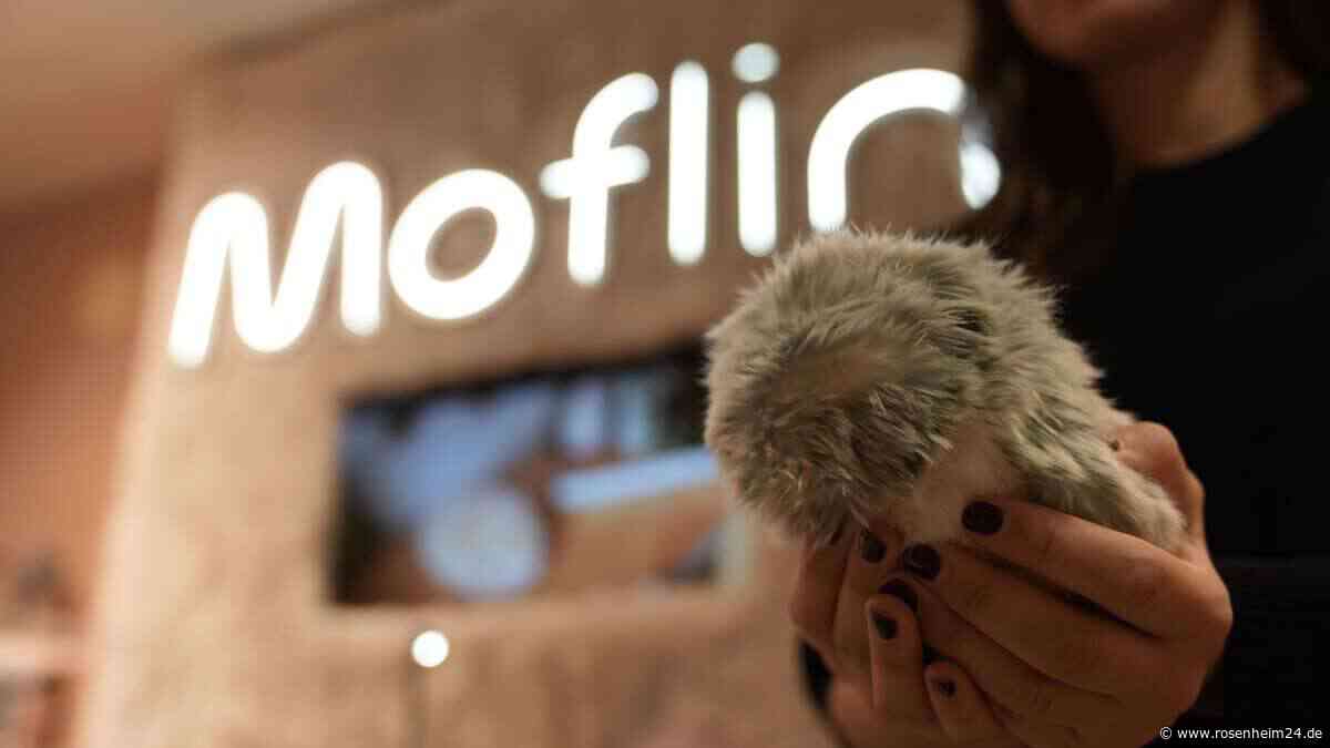 KI zum Kuscheln: Dieser „Moflin“ soll Gefühle wecken – ist dieses Plüschtier gefährlich?