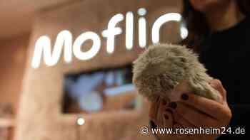 KI zum Kuscheln: Dieser „Moflin“ soll Gefühle wecken – ist dieses Plüschtier gefährlich?