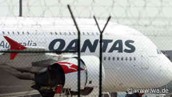 Bettwanzen an Bord: Australische Fluggesellschaft Qantas muss Langstreckenflugzeug in Rom außer Betrieb nehmen