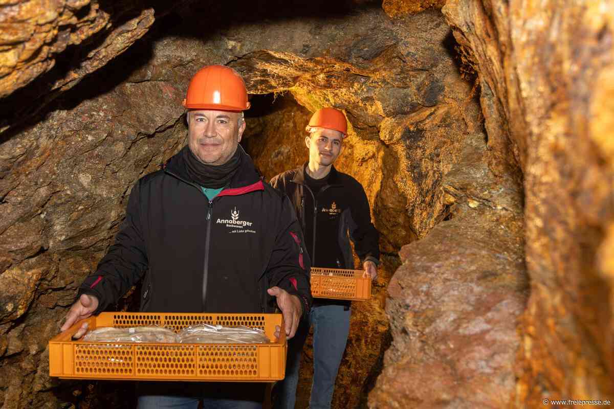 Weihnachtsstollen im Erzgebirge reifen unter Tage im Bergwerk