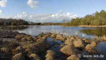 10,5 Kilometer durch Moor und Heide: Herbstliche Wanderung für Naturliebhaber