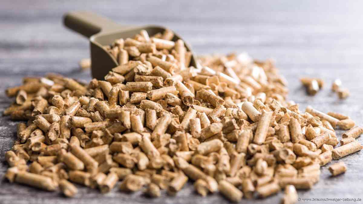 Pellets jetzt kaufen oder warten? Experte verrät beste Strategie