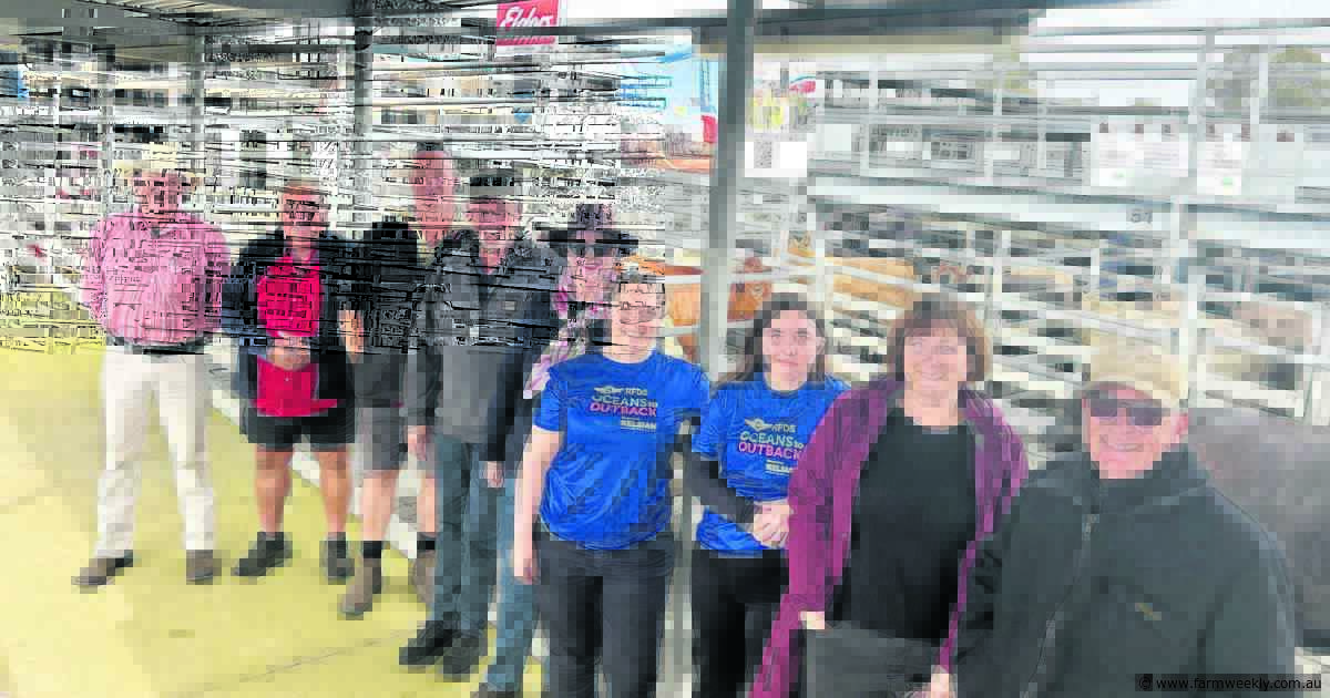 Saleyard spirit: bush generosity on full display as buyers back Laura's Army